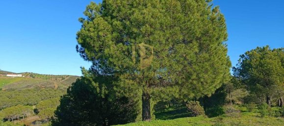 1 bedroom Land in Castro Marim, Portugal No. 137747 38