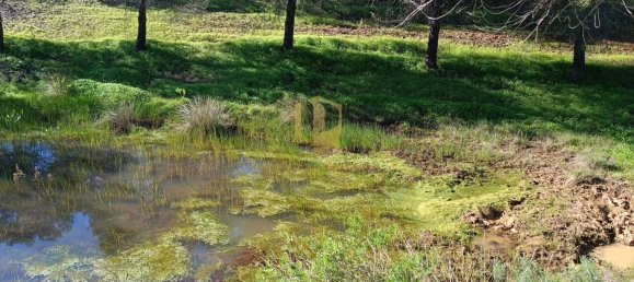 1 bedroom Land in Castro Marim, Portugal No. 137747 13