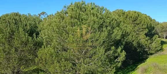 1 bedroom Land in Castro Marim, Portugal No. 137747 46