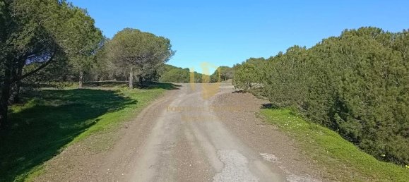 1 bedroom Land in Castro Marim, Portugal No. 137747 37
