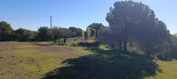 1 bedroom Land in Castro Marim, Portugal No. 137747 36