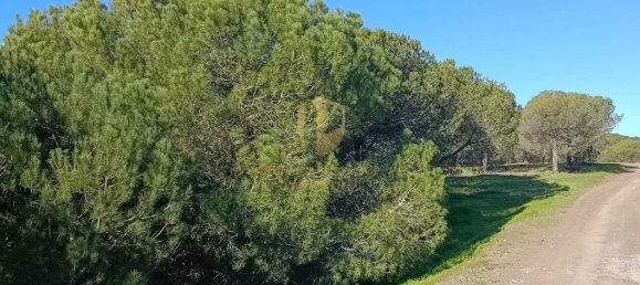 1 bedroom Land in Castro Marim, Portugal No. 137747 40