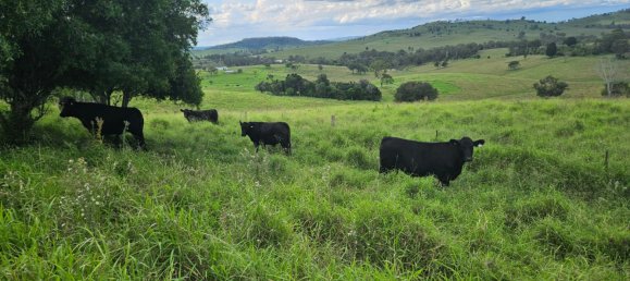 Granja de 4 dormitorios en Thornville, Australia No. 1047 29