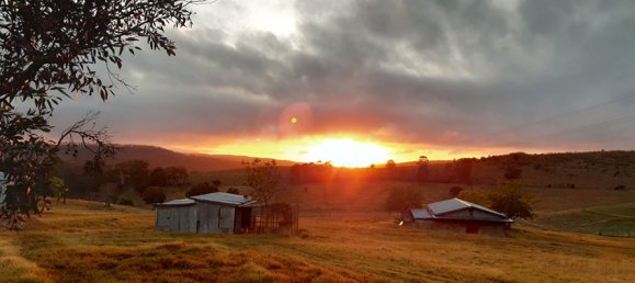 Granja de 4 dormitorios en Thornville, Australia No. 1047 9
