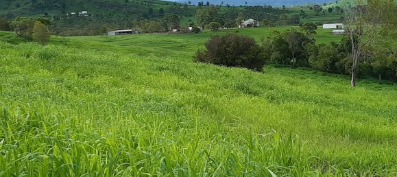 Granja de 4 dormitorios en Thornville, Australia No. 1047 7