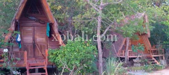 Terrain à Gili Meno, Indonesia 6005m² No. 4158 9