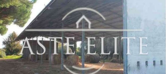 بناية في Cisterna di Latina, Italy 24400متر مربع رقم 277880 30