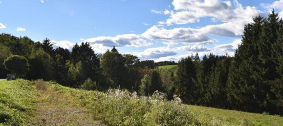 Terrain à Kainbach bei Graz, Austria No. 245895 2