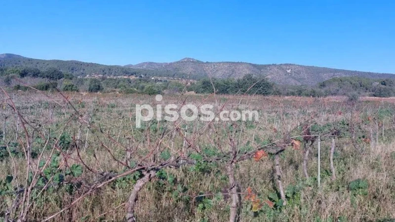 20771m² Land in Tarragona, Spain No. 252893