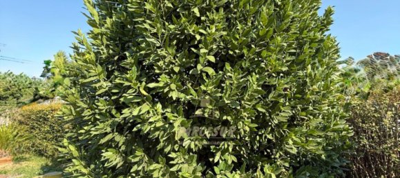 3 Schlafzimmer Haus in Cordoba, Spain, Nr. 145941 33