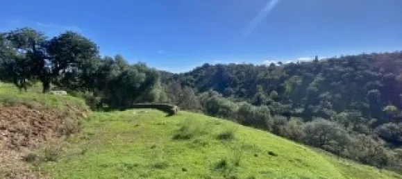 Casa T2 em Santa Catarina da Fonte do Bispo, Portugal N.º 127938 47