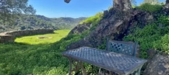 Casa T2 em Santa Catarina da Fonte do Bispo, Portugal N.º 127938 30