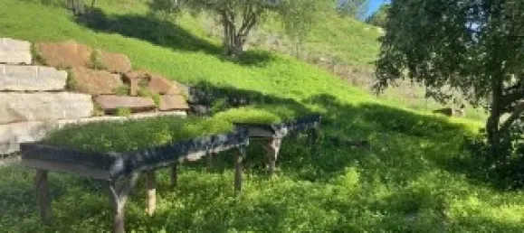 Casa T2 em Santa Catarina da Fonte do Bispo, Portugal N.º 127938 23