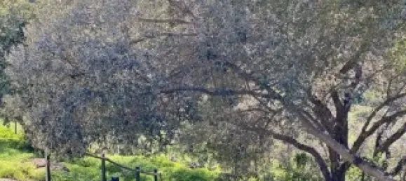 Casa T2 em Santa Catarina da Fonte do Bispo, Portugal N.º 127938 31