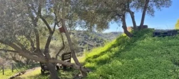 Casa T2 em Santa Catarina da Fonte do Bispo, Portugal N.º 127938 22