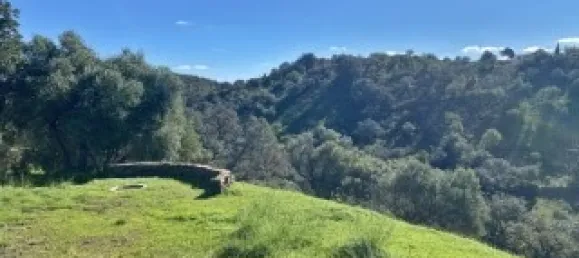 Casa T2 em Santa Catarina da Fonte do Bispo, Portugal N.º 127938 25