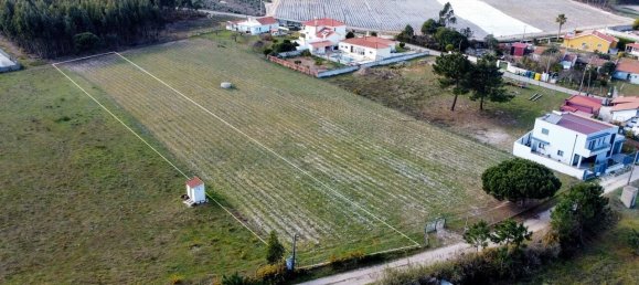 Дом с 3 спальнями в Торриш Ведраш, Португалия № 45592 6