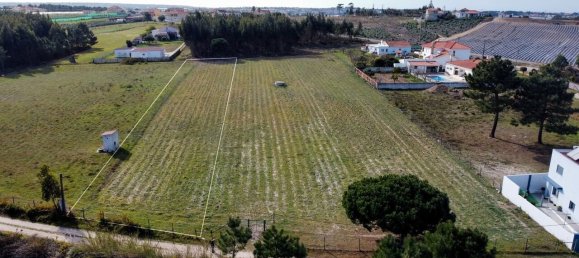 Дом с 3 спальнями в Торриш Ведраш, Португалия № 45592 9