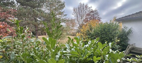 3 bedrooms Castles in Sarralbe, France No. 153540 17