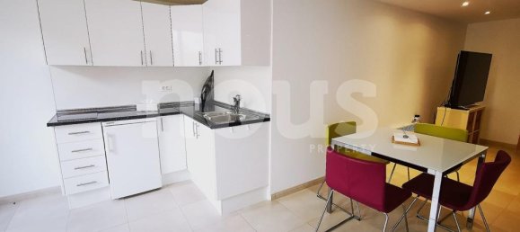 5 chambres Villa à Adeje, Spain No. 13849 15