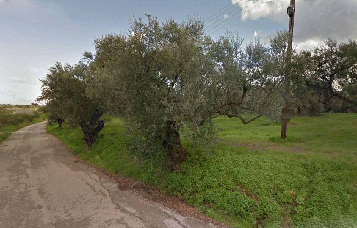  Land in Zakynthos, Greece No. 8526