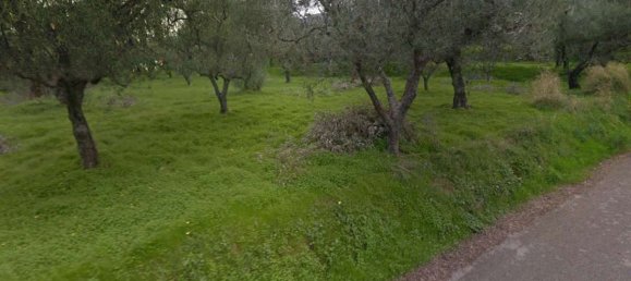  Land in Zakynthos, Greece No. 8526 9