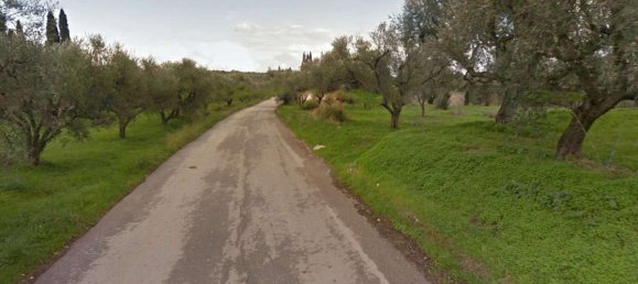  Land in Zakynthos, Greece No. 8526 7