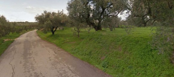  Hotel in Zakynthos, Greece No. 8526 5