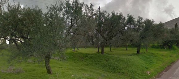  Land in Zakynthos, Greece No. 8526 2