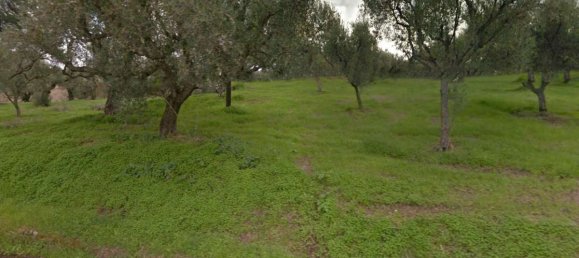  Land in Zakynthos, Greece No. 8526 6