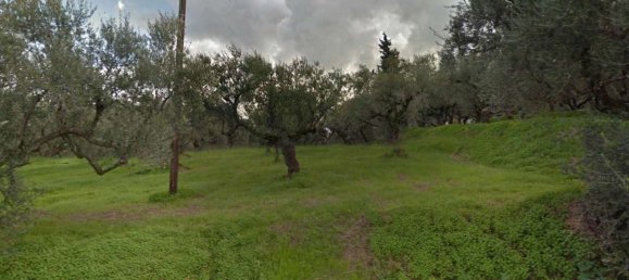  Land in Zakynthos, Greece No. 8526 4