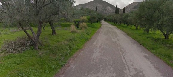  Land in Zakynthos, Greece No. 8526 3