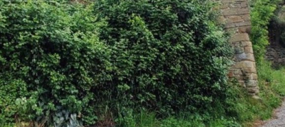 661m² Commercial property in Capolona, Italy No. 270049 7