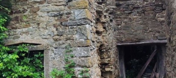 661m² Commercial property in Capolona, Italy No. 270049 9