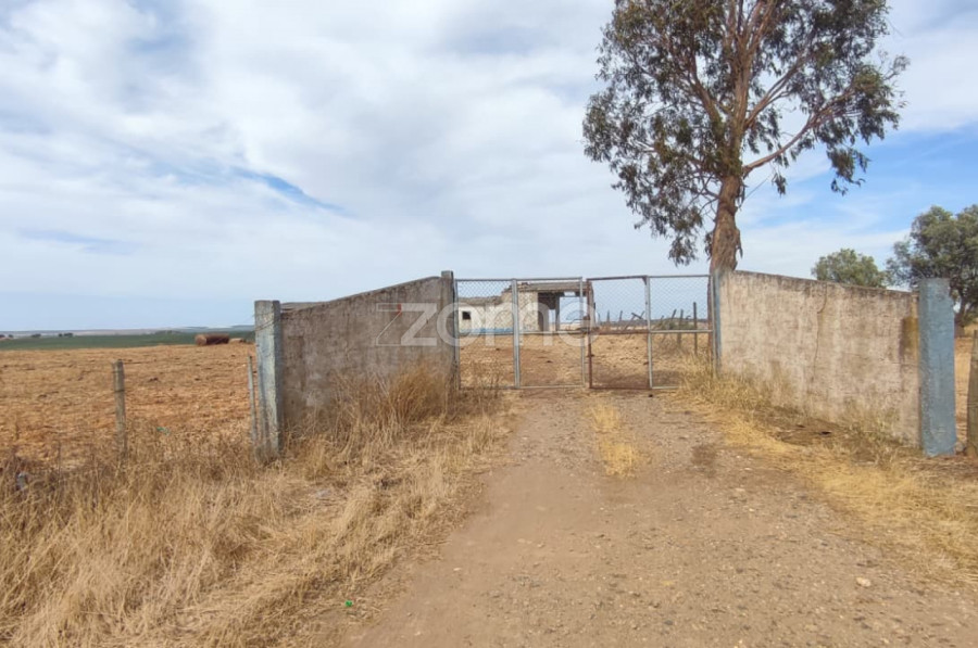  Land in Aljustrel, Portugal No. 329991