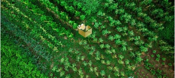 2 غرف نوم فيلا في الشارقة, UAE رقم 8784 3