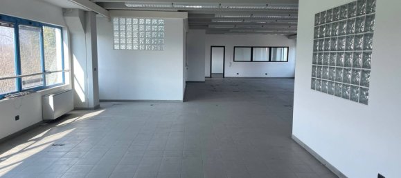 2100m² Building in Pianezza, Italy No. 290682 8