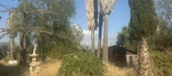 8 bedrooms House in Palma de Majorca, Spain No. 173904 10