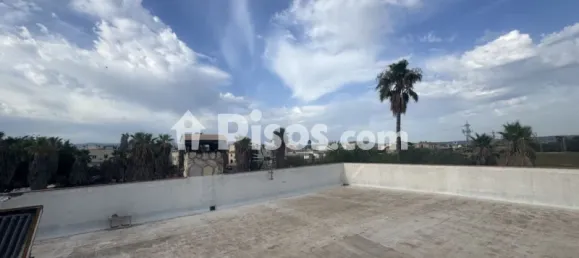 8 bedrooms House in Palma de Majorca, Spain No. 173904 31