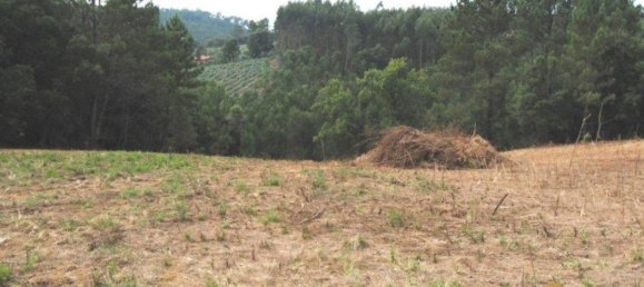  قطعة أرض في Alvorninha, Portugal 9279متر مربع رقم 81775 8