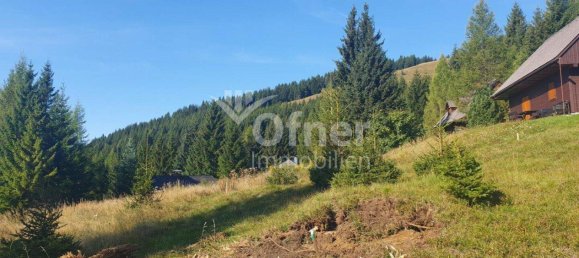  Land in Koflach, Austria No. 53136 8