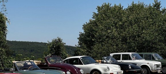 Gewerbliche Immobilie in Königstetten, Austria, Nr. 141336 35