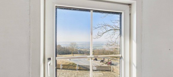 Gewerbliche Immobilie in Königstetten, Austria, Nr. 141336 12