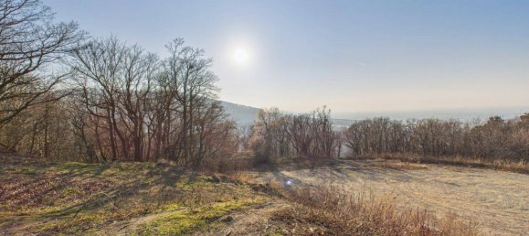 Gewerbliche Immobilie in Königstetten, Austria, Nr. 141336 23