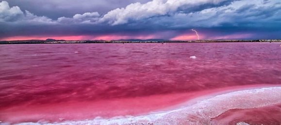 2 bedrooms House in Alicante, Spain No. 91688 21