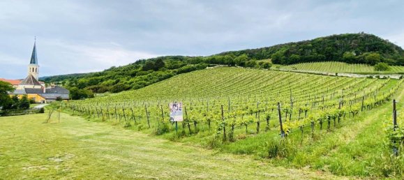 3 bedrooms Apartment in Gumpoldskirchen, Austria No. 231307 15