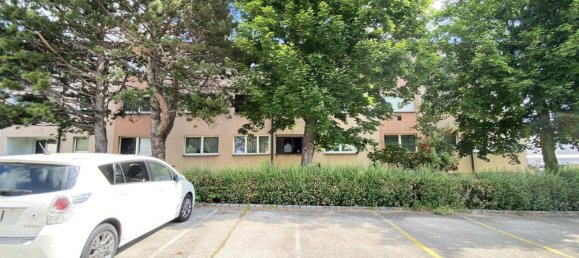 3 bedrooms Apartment in Gumpoldskirchen, Austria No. 231307 13