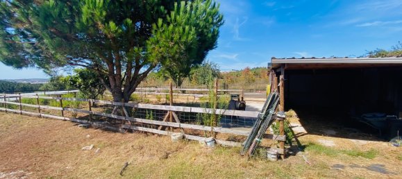 6 Schlafzimmer Haus in Bombarral, Portugal, Nr. 136734 11