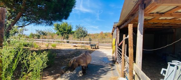 6 Schlafzimmer Haus in Bombarral, Portugal, Nr. 136734 12