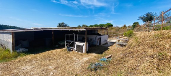 6 Schlafzimmer Haus in Bombarral, Portugal, Nr. 136734 13